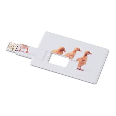 USB memory stick, oblik kreditne kartice, 4GB