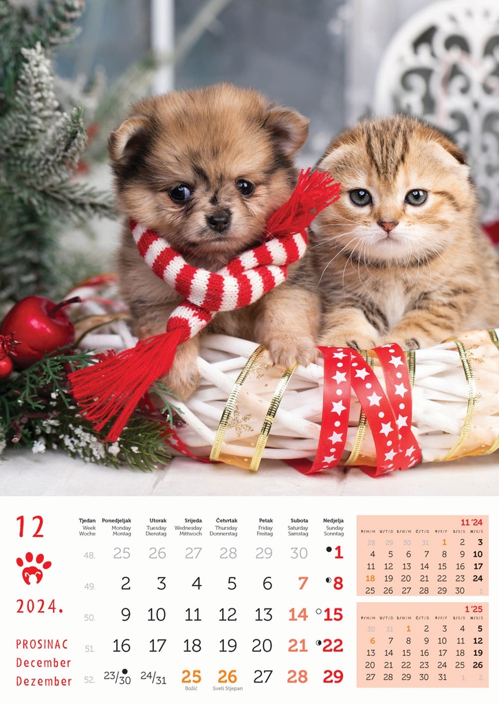 Kalendar Psi i mačke, 30,5x50 cm, 13 listova, PVC vrećica