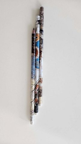 Olovka s gumicom, BIC Evolution, dizajn po želji