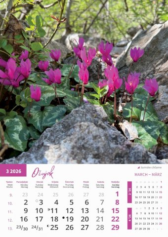 Kalendar Priroda, 30,5x50 cm, 13 listova, PVC vrećica