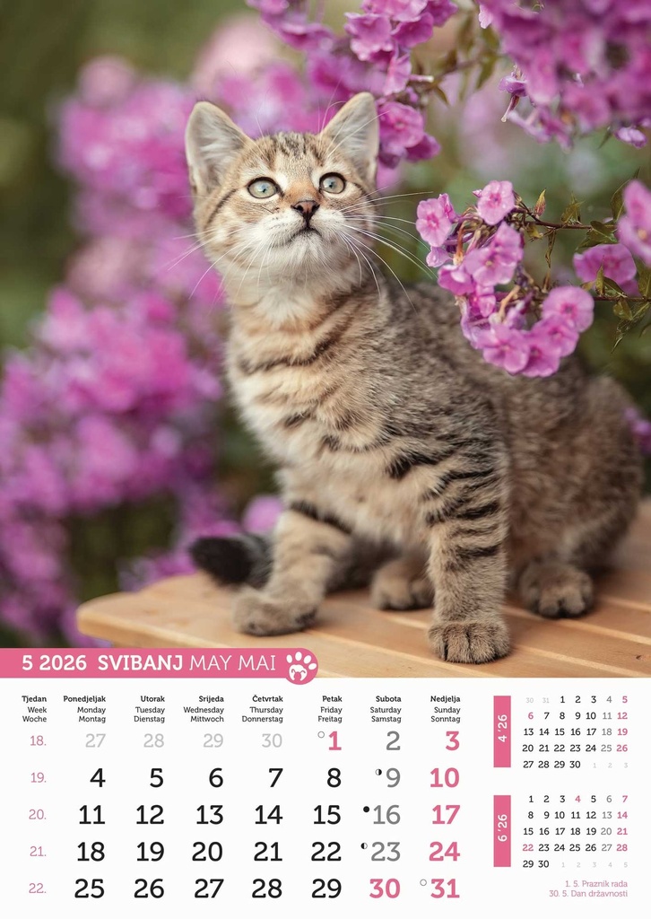 Kalendar Psi i mačke, 30,5x50 cm, 13 listova, PVC vrećica