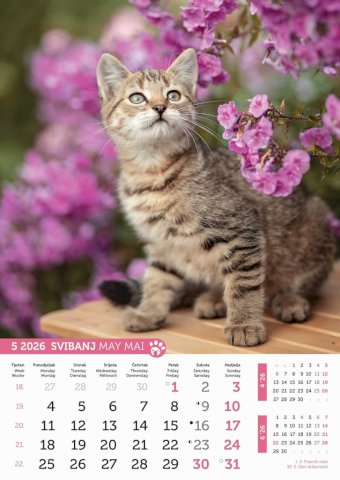 Kalendar Psi i mačke, 30,5x50 cm, 13 listova, PVC vrećica